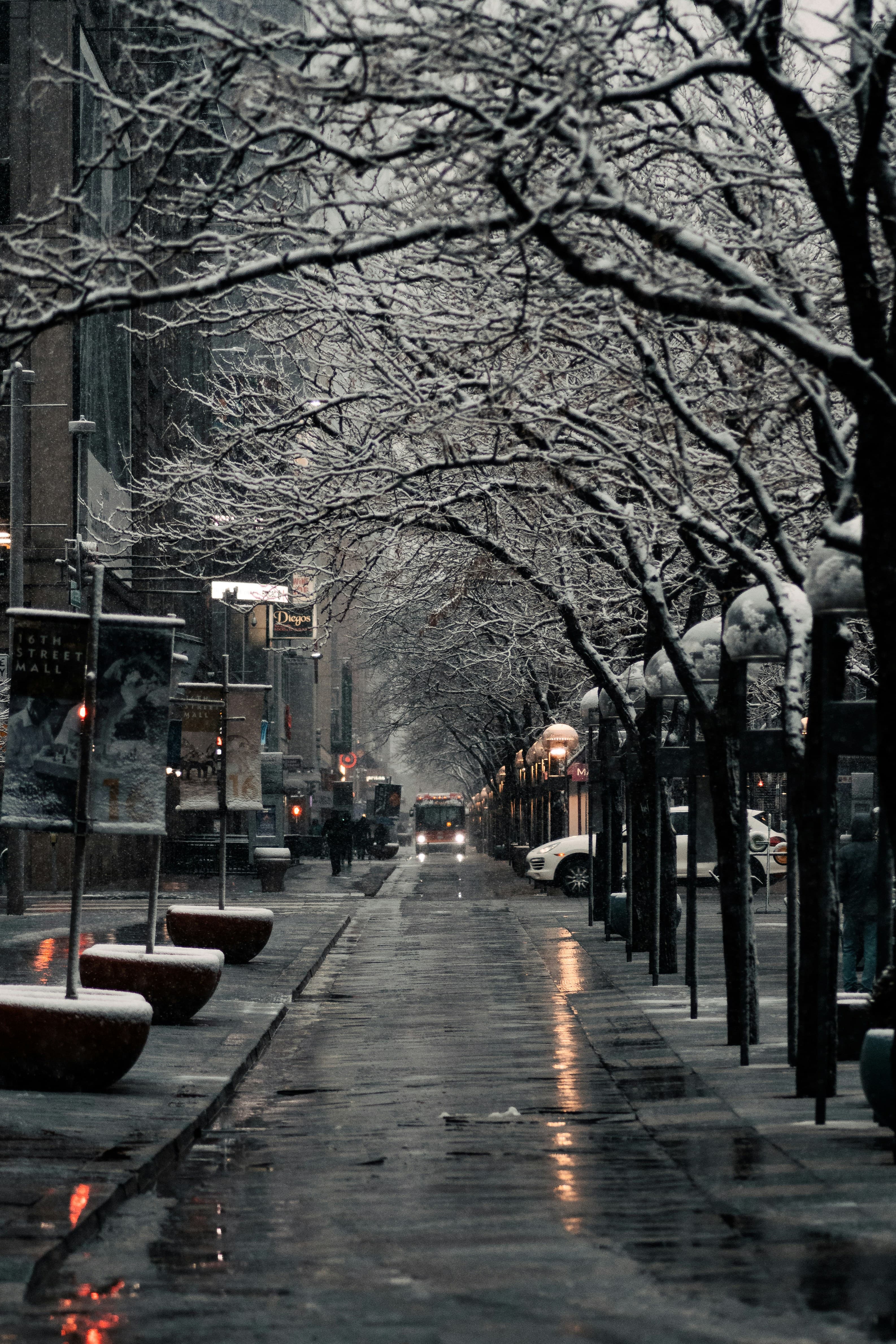 A wet snowy city street on a gray day.