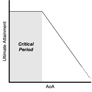 Graphic illustrating the critical period for language learning