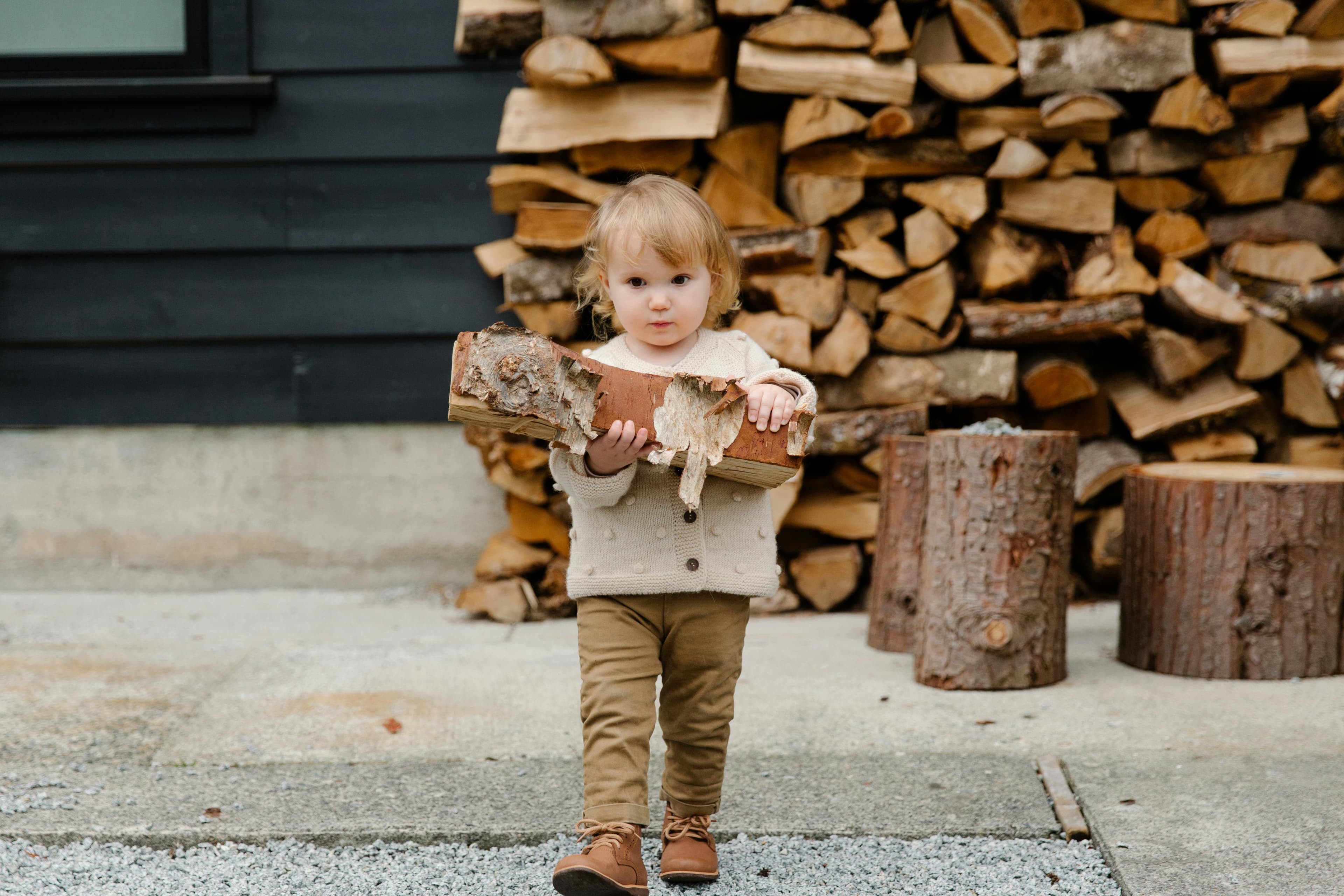 A photo of a small blonde child walking toward the camera, carrying a large piece of firewood.