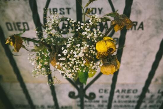 White and yellow flower put in front of a tombstone