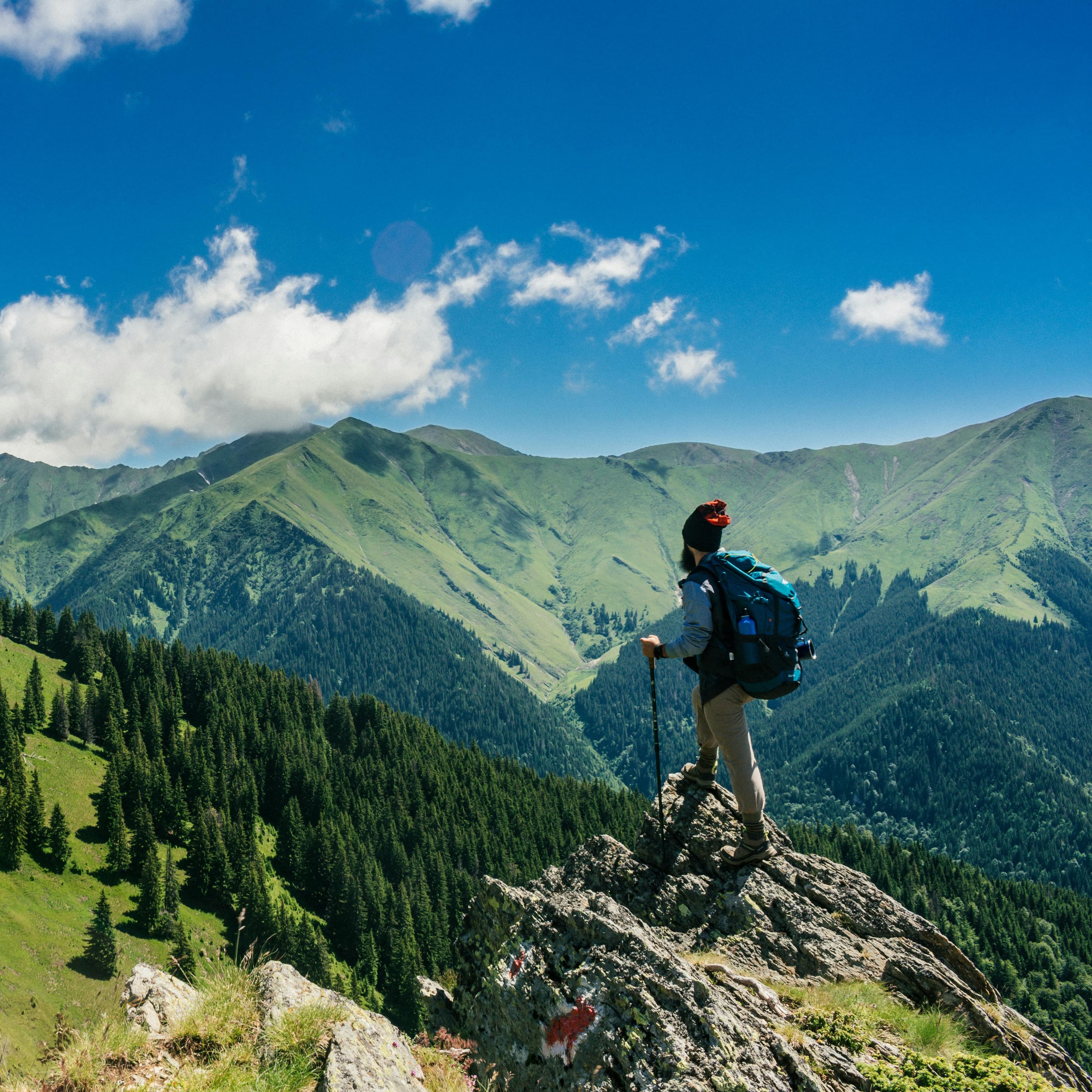 A man with a beard stands at the top of a mountain and looks at the view. It is a sunny day and the mountains are green, with grass and pine trees.