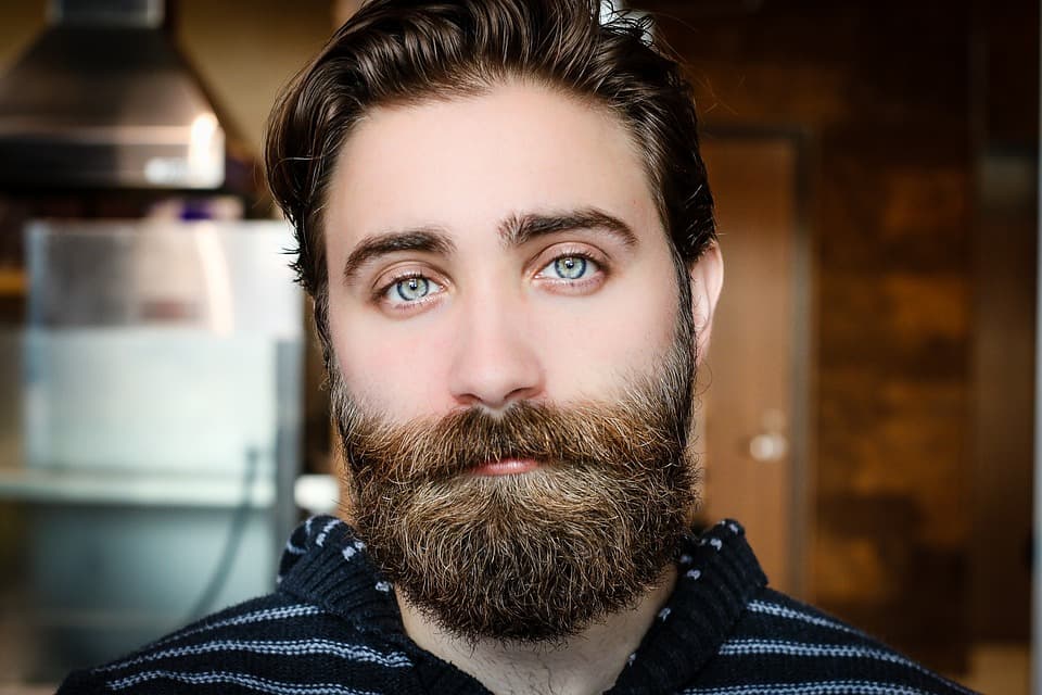 A headshot of a white man with brown hair, a bushy beard, and gray eyes.