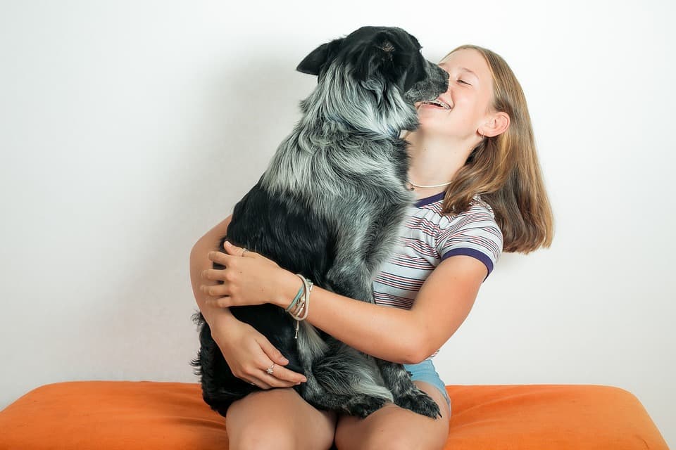 A photo of a teenage girl sitting on a bench hugging a large gray and black shepherd dog that is in her lap.