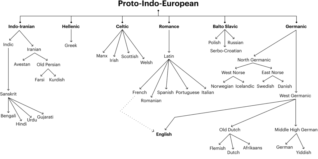 Graph indicating the relationships between Proto-indo-european languages