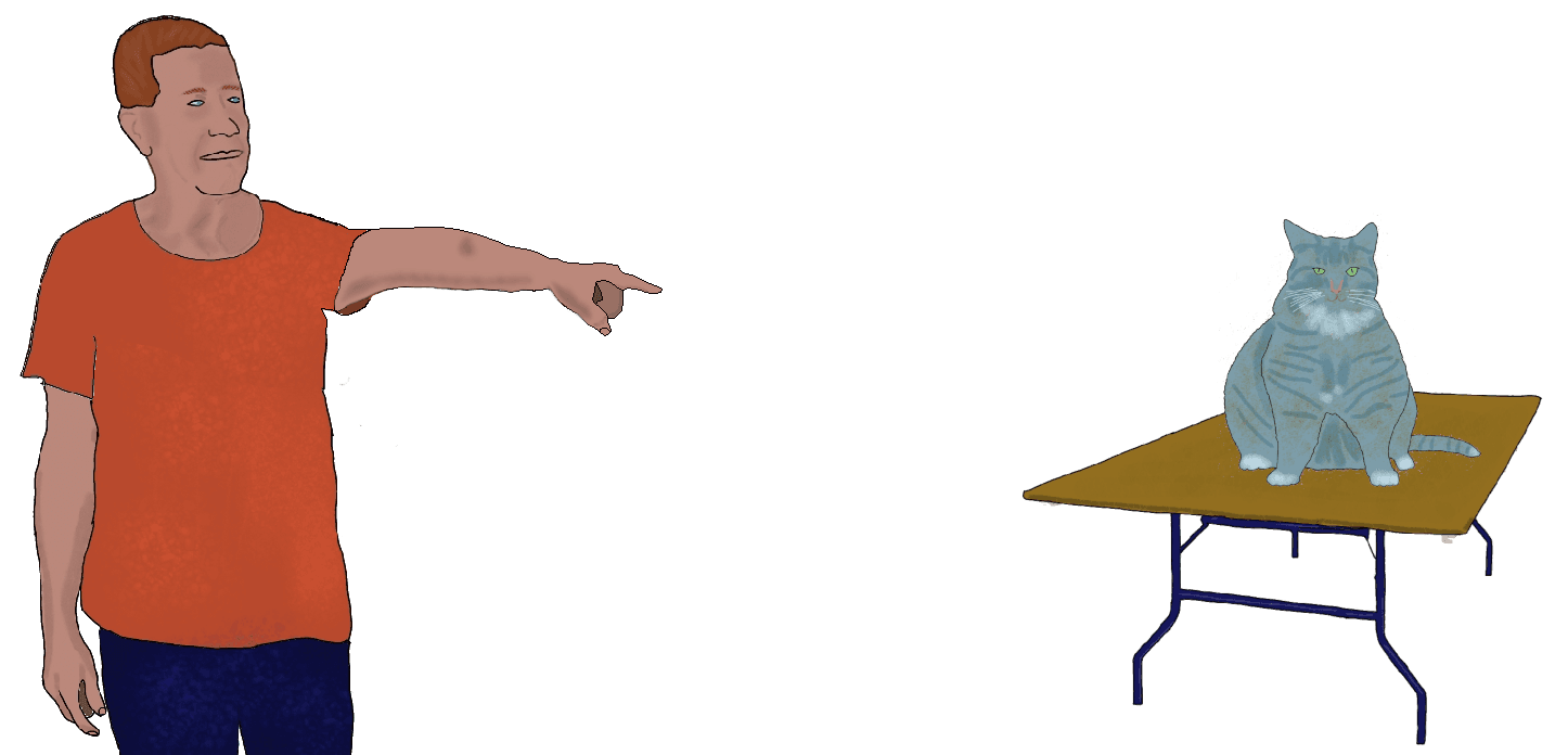 A drawing of a man in a red shirt pointing to a fat gray cat sitting on a folding table across the room.