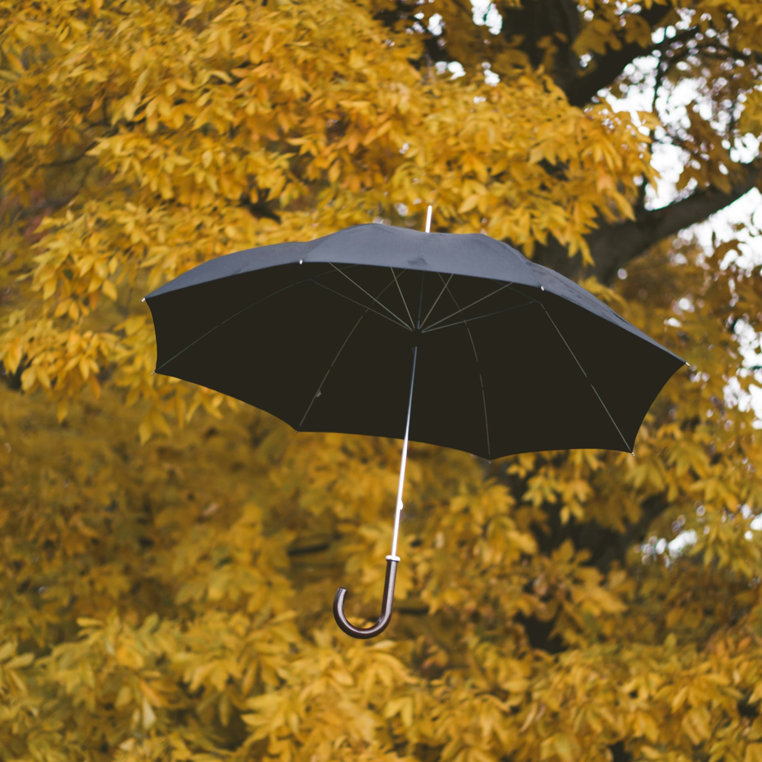 A black umbrella floating in the air.