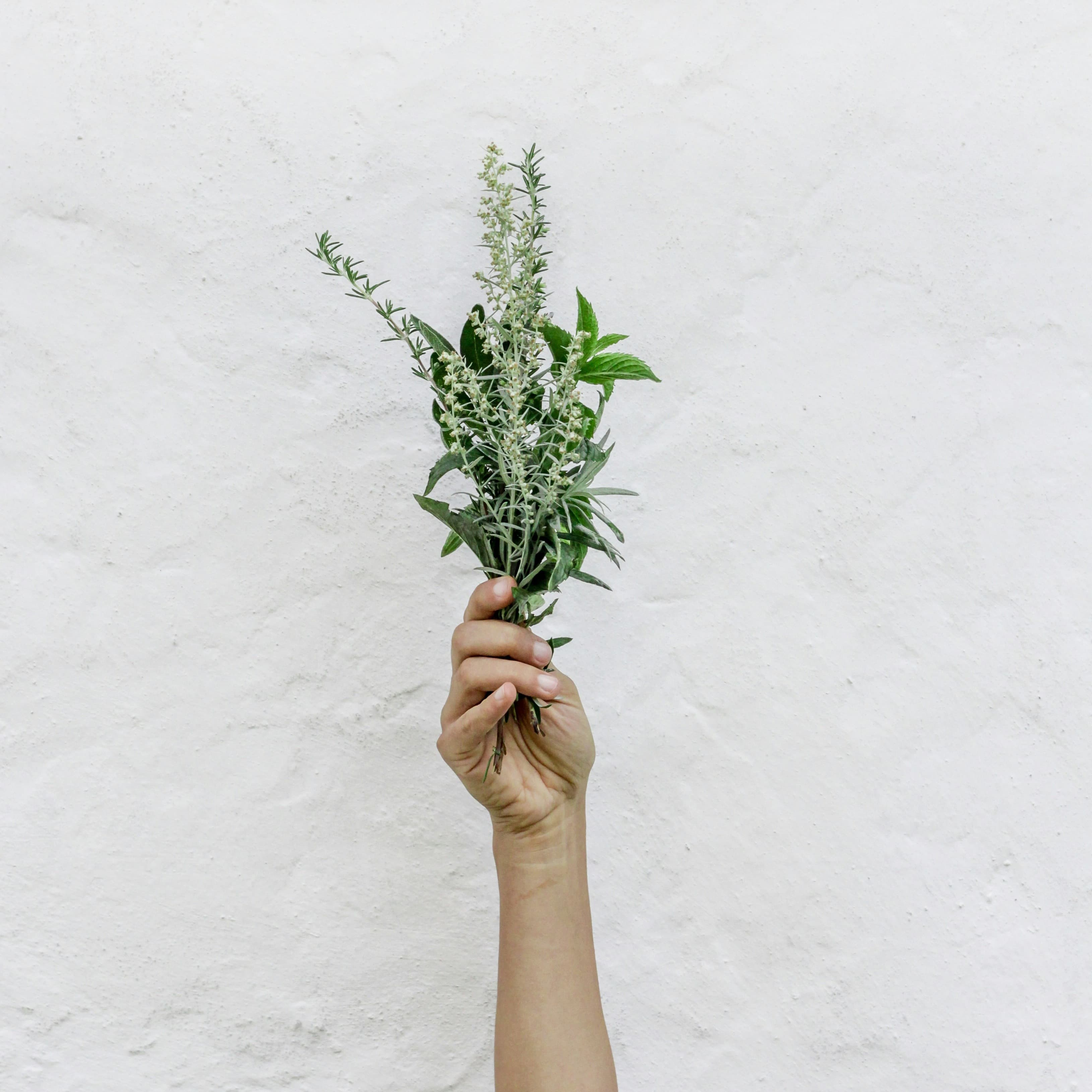A hand holding up a bundle of rosemary and other herbs.