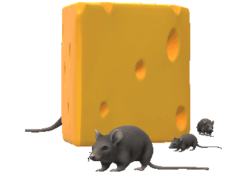 A graphic of a mouse and a block of cheese. It starts out behind the block of cheese and moves out from behind it, to stand closer to the camera.