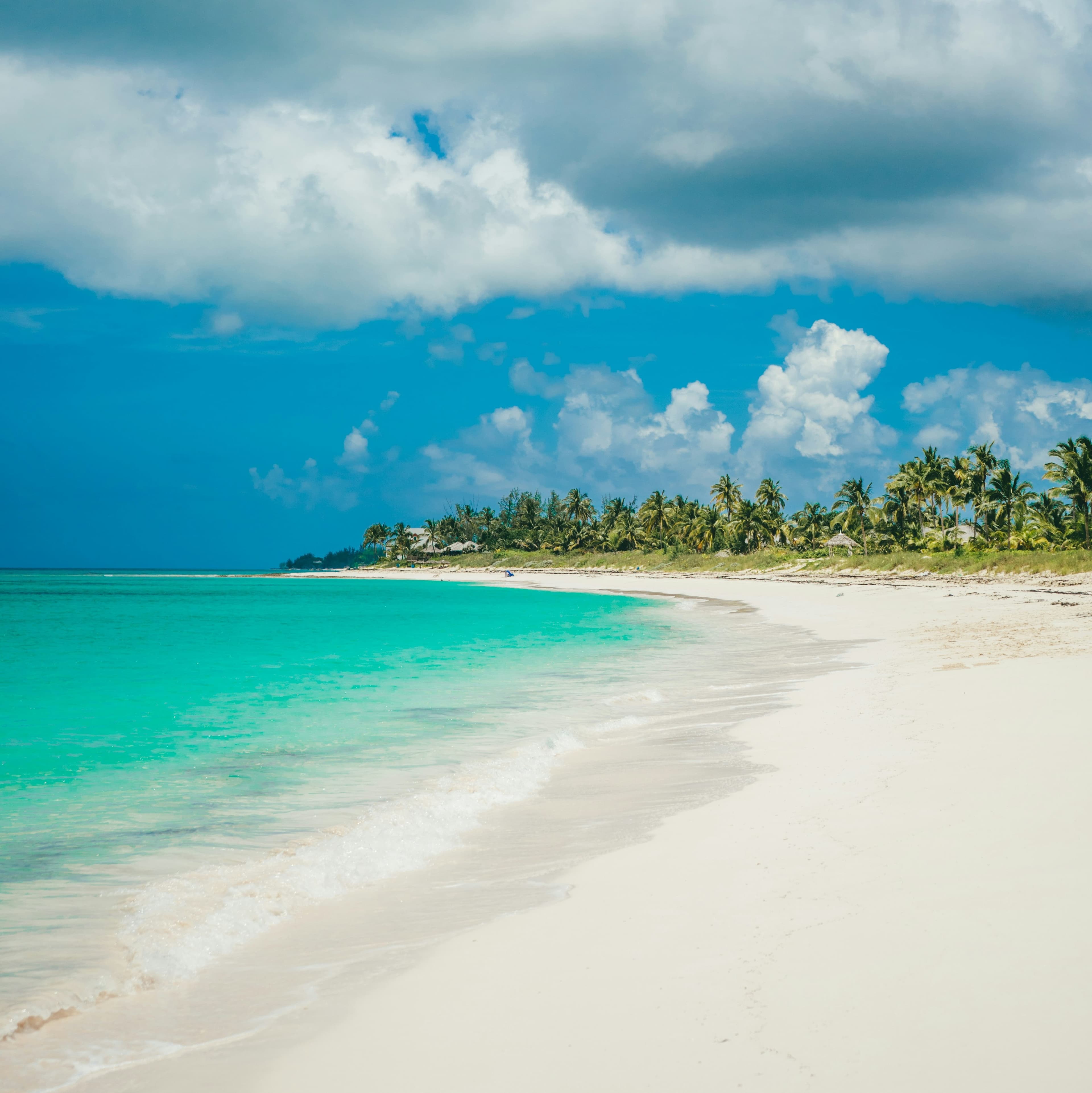 A photo of a tropical beach on a sunny day.