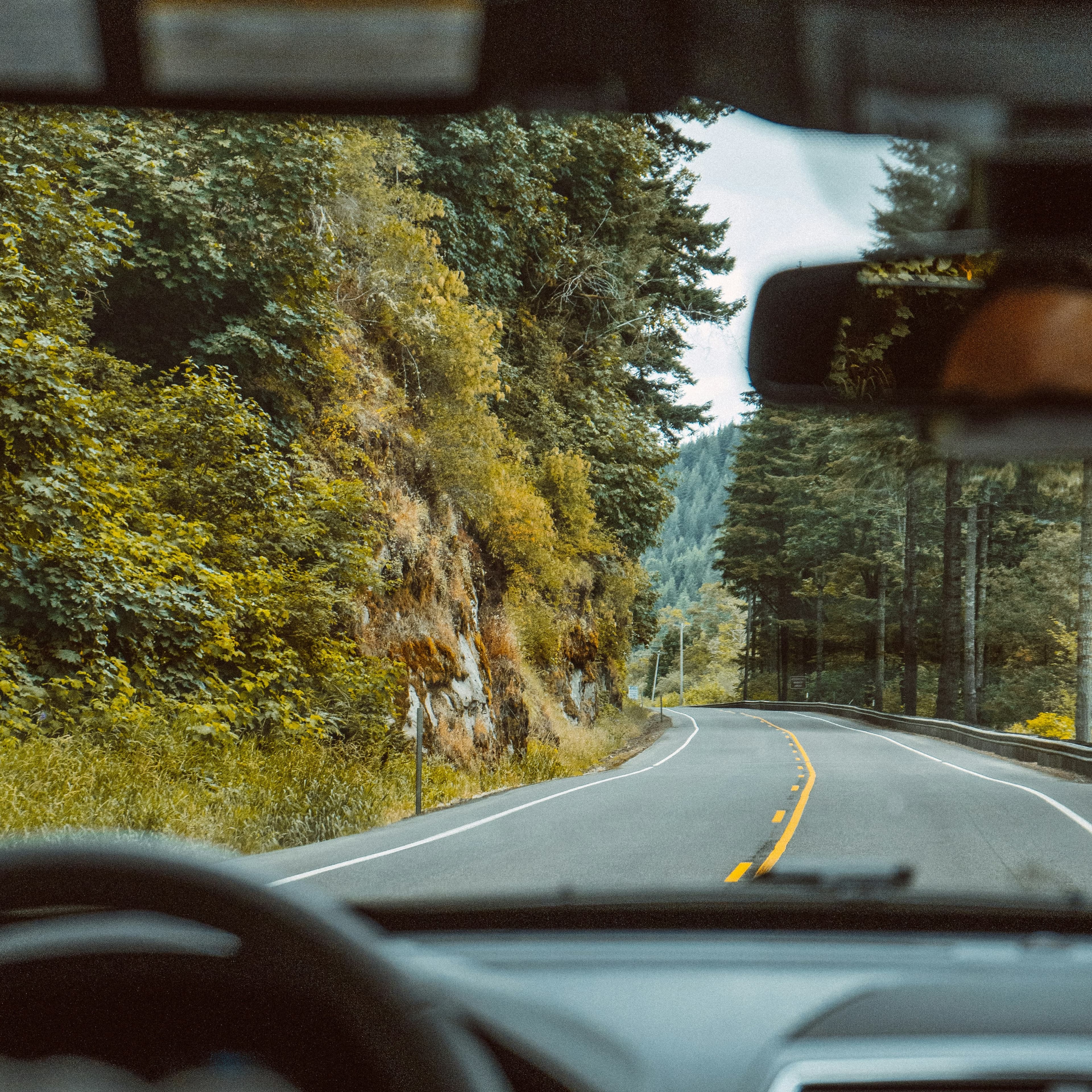A photo taken from the front seat of a car out the front window. We can see a two-lane road in front of us passing between some pine trees. On the left side we can also see a rock wall going upwards.