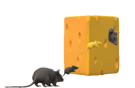A graphic of a rat and some cheese. We can see that it approaches the cheese, and goes to sit inside the block of cheese.