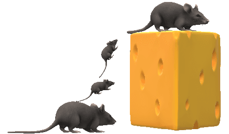 A graphic with a mouse and a block of cheese. The mouse starts on the ground and jumps up onto the top of the block.