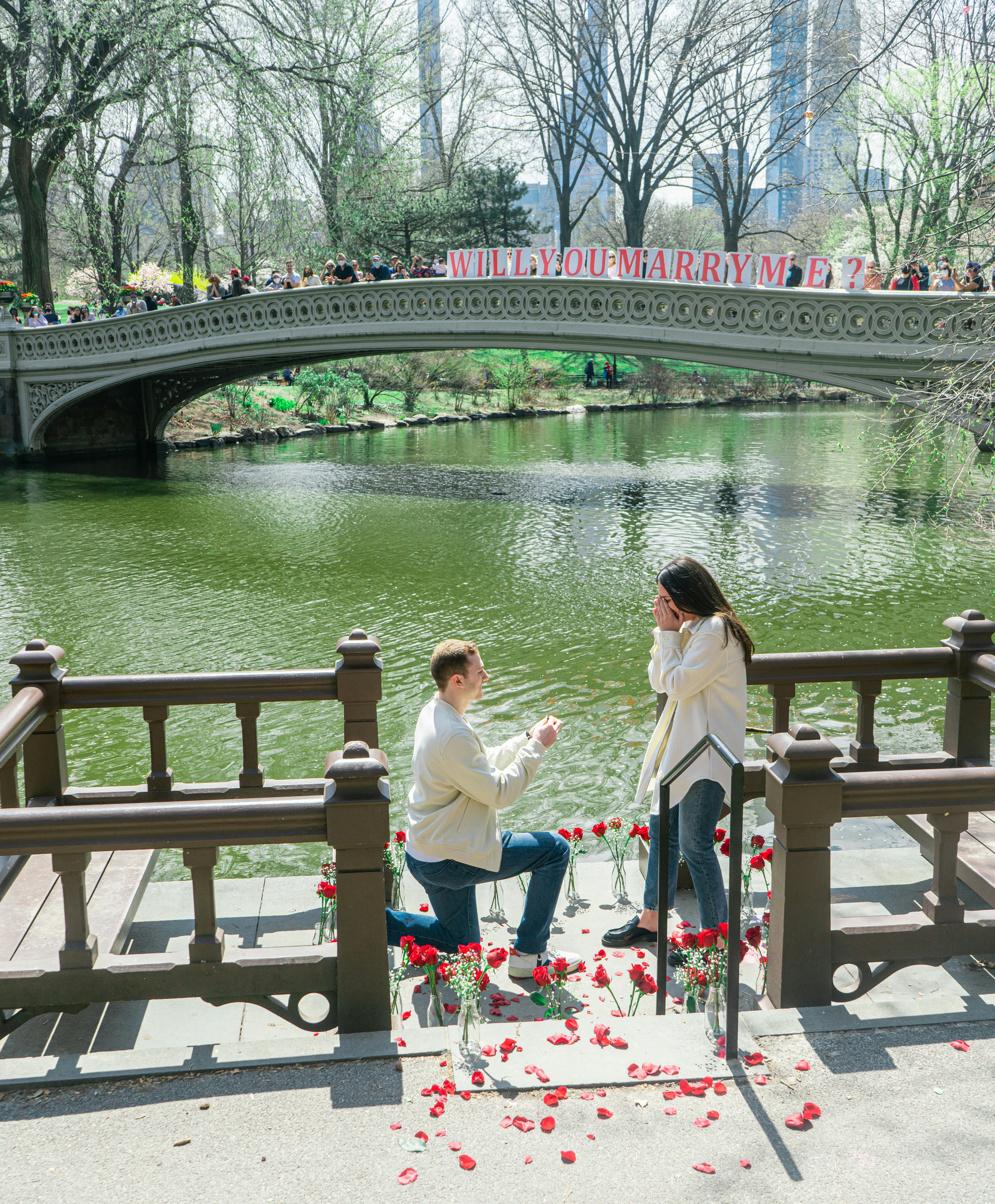 A photo of a public marriage proposal. The man is on one knee holding up the ring and the woman is standing in front of him, smiling and covering her smile with her hands. Both are wearing white flowing tops and blue pants. They are standing in front of a pond in a city park and they're surrounded by roses. On a bridge over the pond behind them, a series of signs read "Will you marry me?" Each sign contains only one letter of the message.