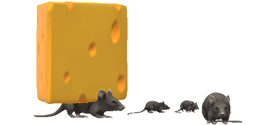 A graphic of a mouse and a block of cheese. The mouse starts out underneath the block of cheese and comes out from underneath it to stand closer to the camera.