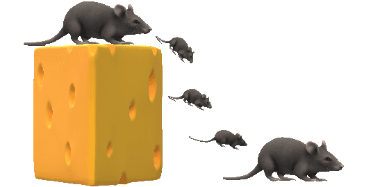 A graphic of a mouse and a block of cheese. It starts out on the top of the block of cheese and jumps off of it and onto the table.