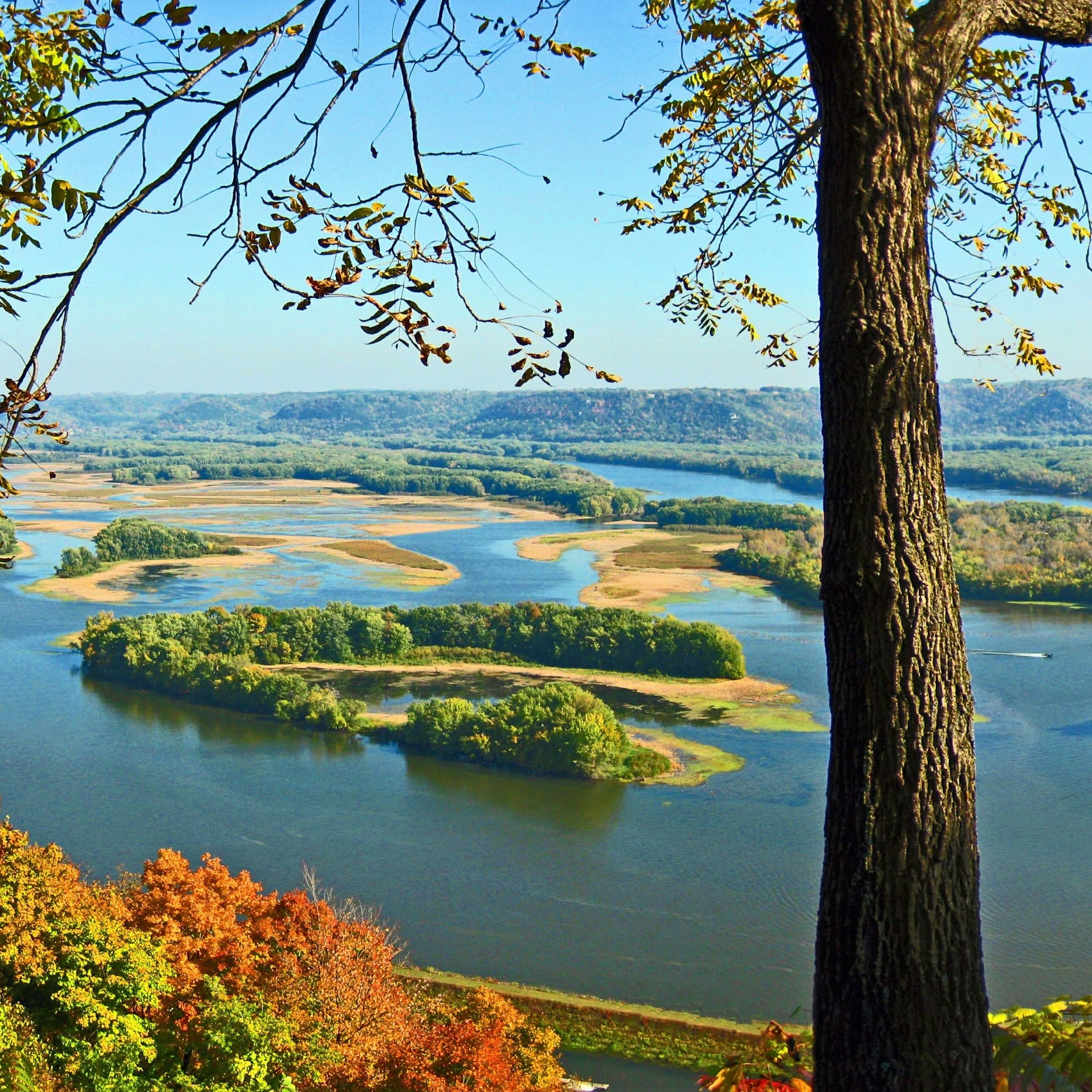 A photo of a large river in the autumn, taken from a bluff high above.