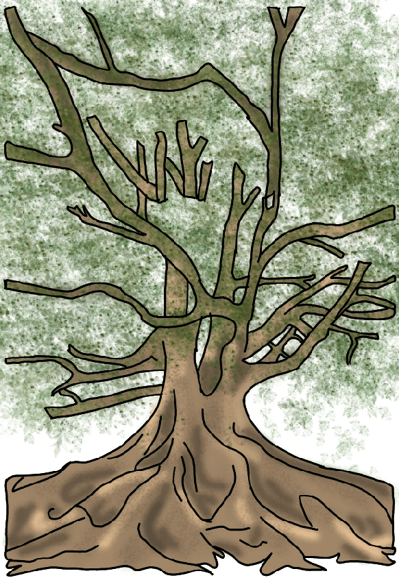 A drawing of a very old tree with large roots.