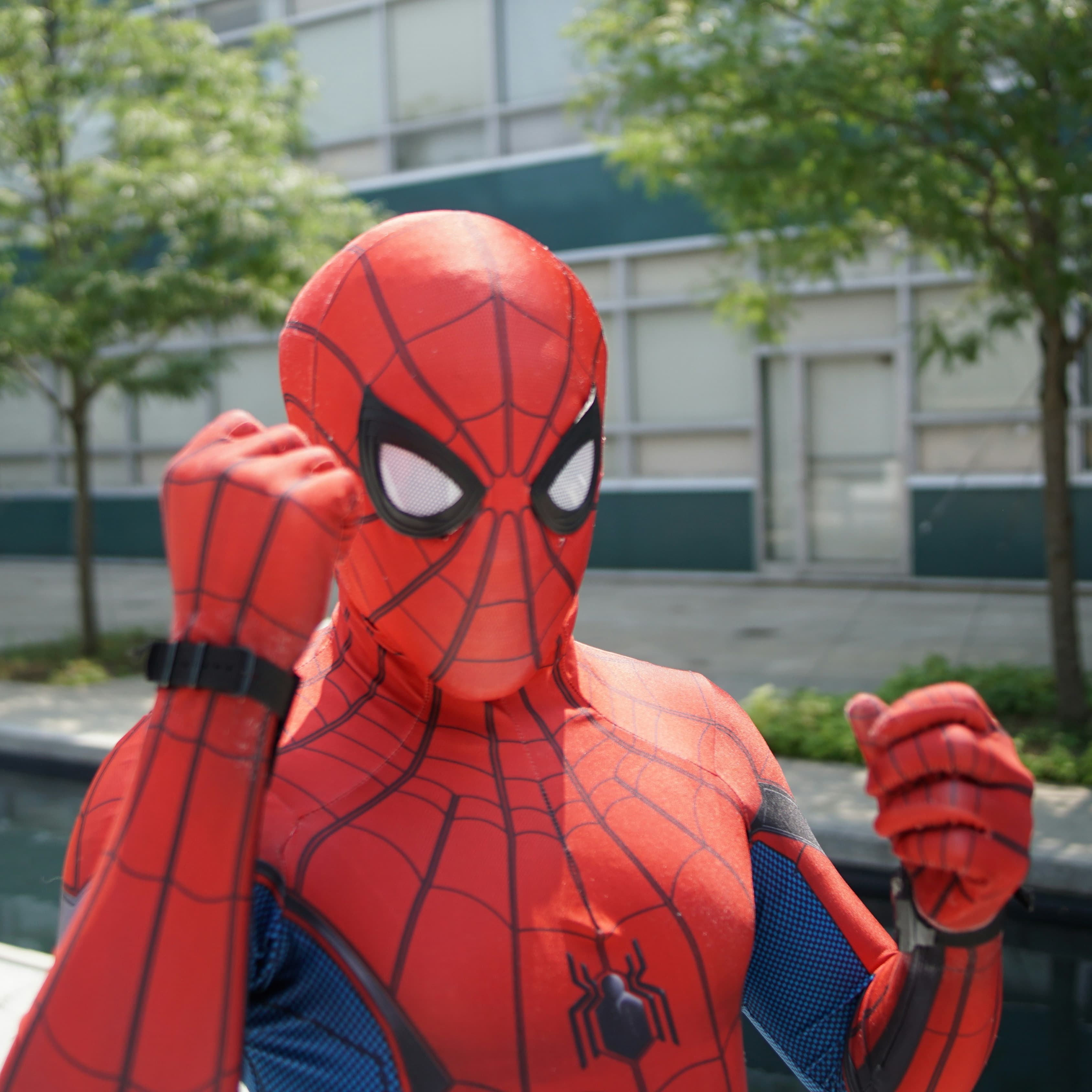 A photo of someone standing outside in a Spiderman costume.