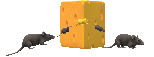 A graphic of a mouse and a block of cheese. It starts on the left side of the block, passes through the middle of the block of cheese, and ends up on the other side.
