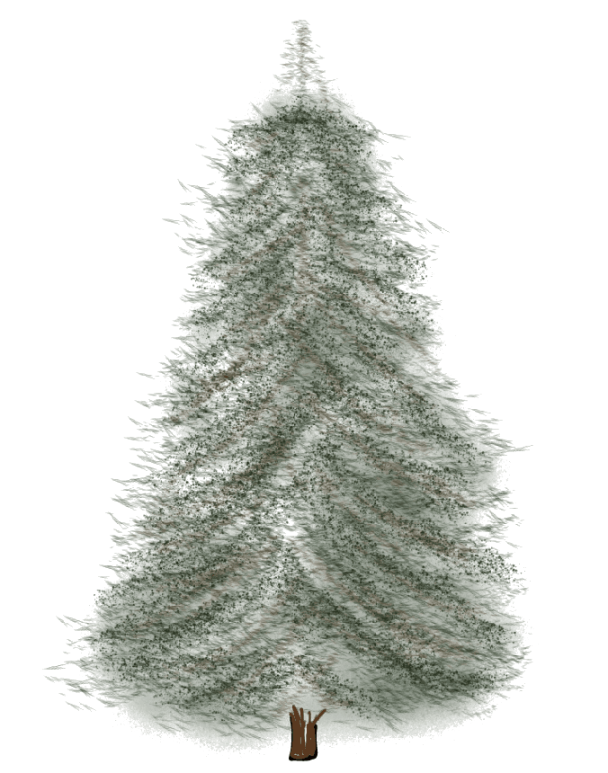 A drawing of a pine tree with a nice triangular shape.