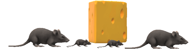 A graphic of a mouse and a block of cheese. The mouse starts on one side of the block of cheese, walks past the block of cheese, and ends up on the other side of it.