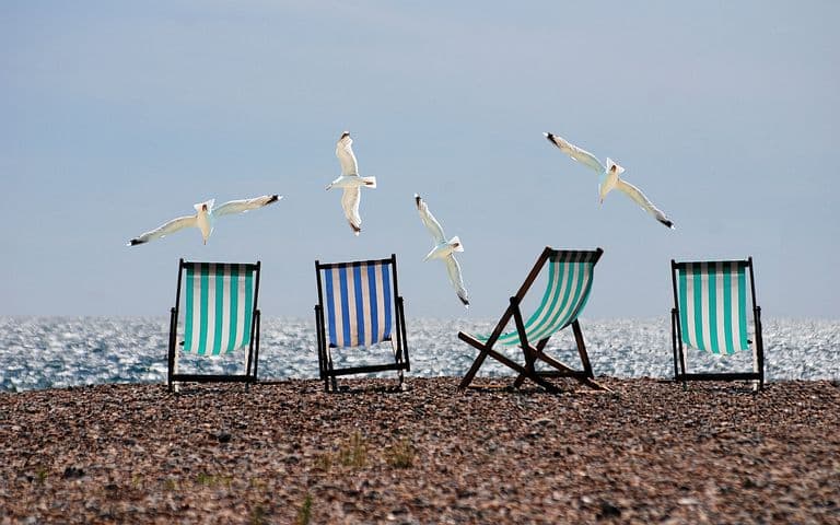 Four seagulls on a beach, flying above four beach chairs.