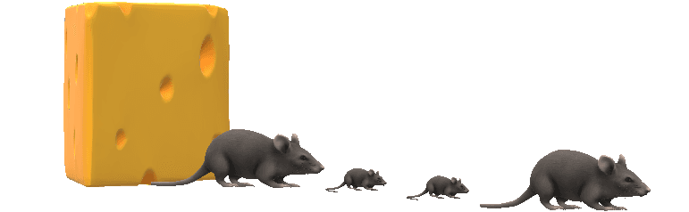 A graphic of a mouse and a block of cheese. The mouse starts out right beside the block of cheese and moves to a position further away from it.