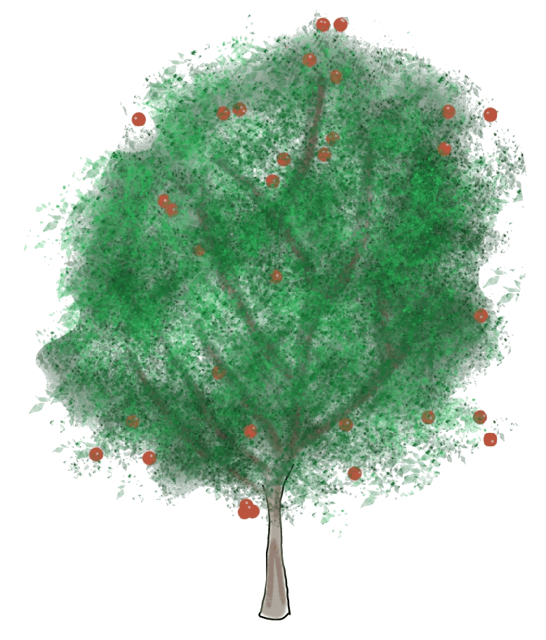 A drawing of a young apple tree with a skinny trunk.