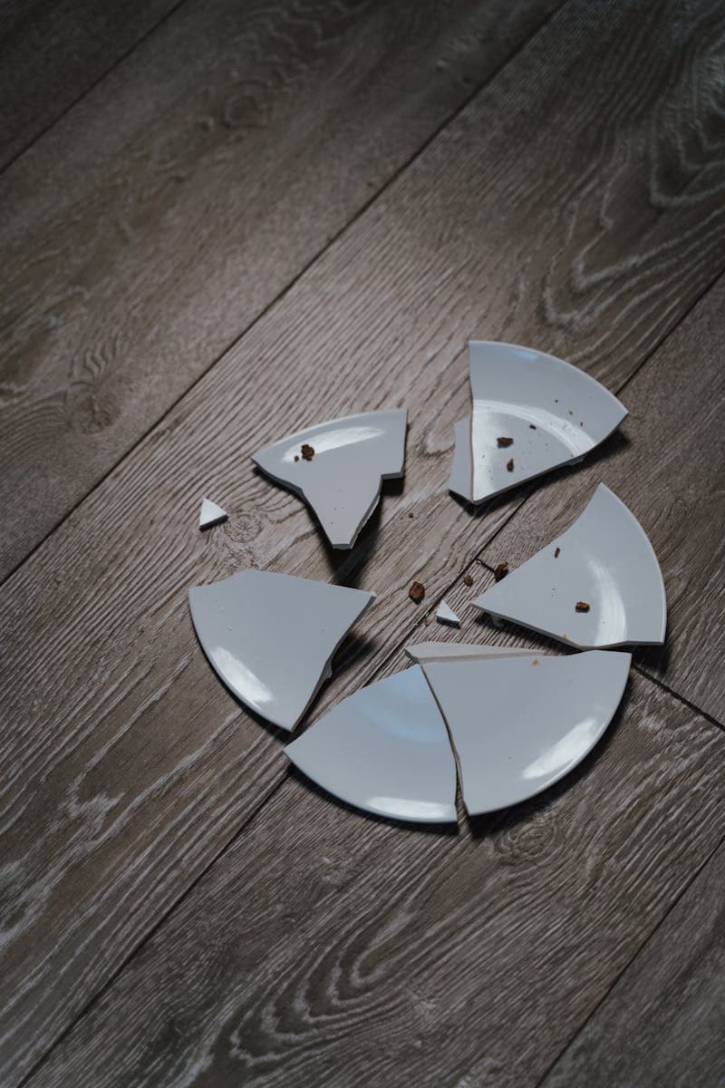 a plate has fallen and smashed on the ground