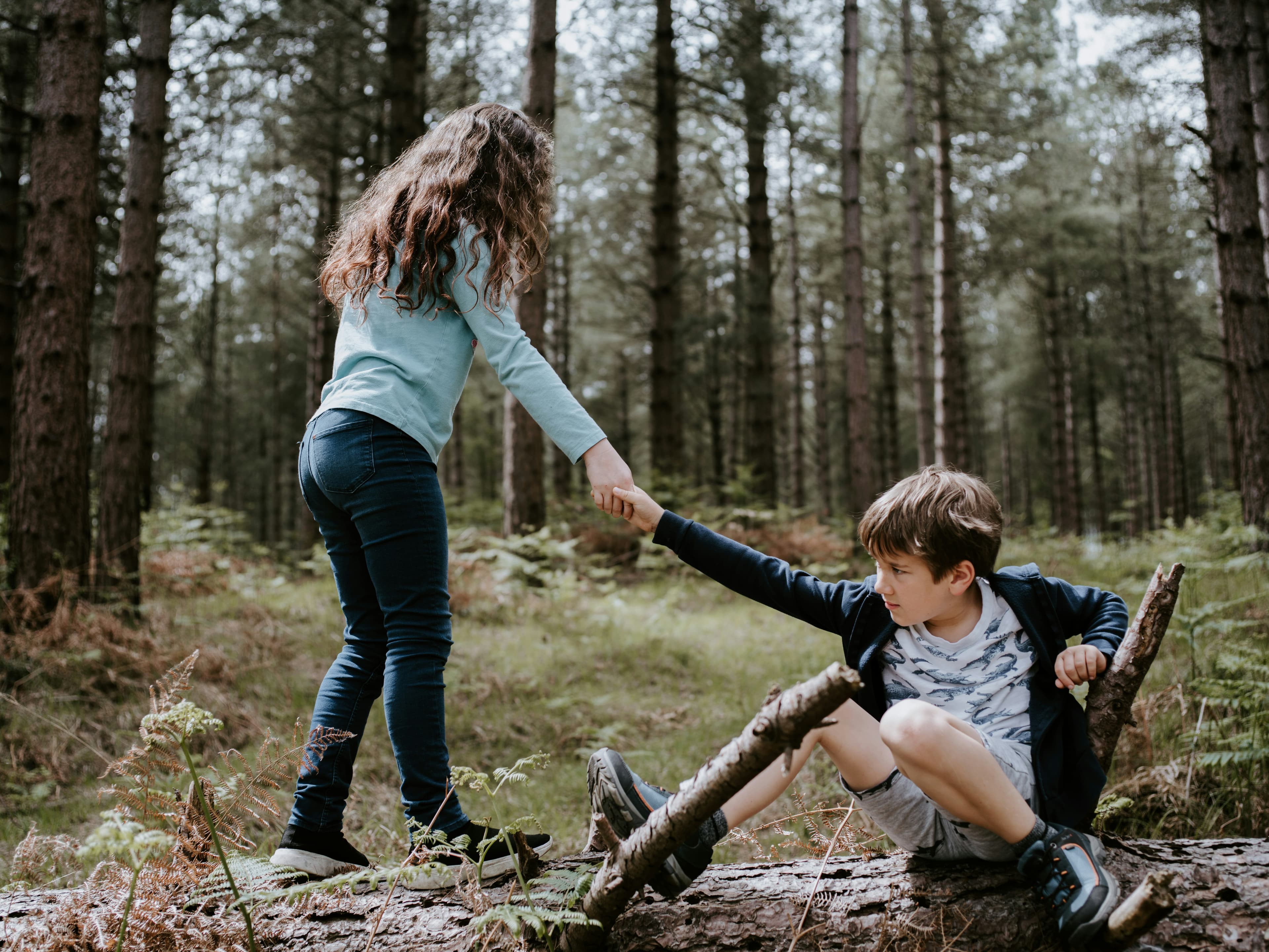 A photo of a boy and girl in a pine forest. The boy is sitting on the ground and the girl is grabbing his hand to pull him to his feet