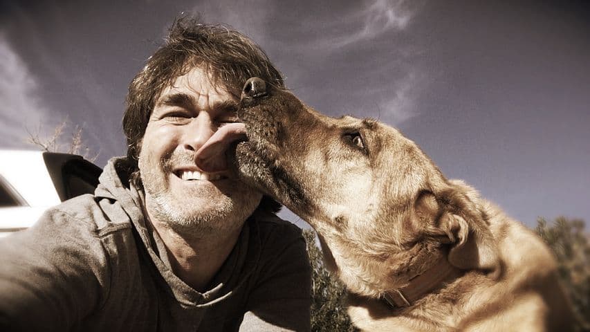 a dog gives a man a loving lick on the nose