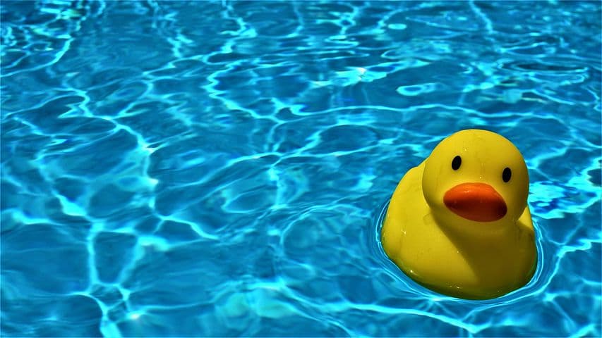a yellow rubber duck floating in a pool