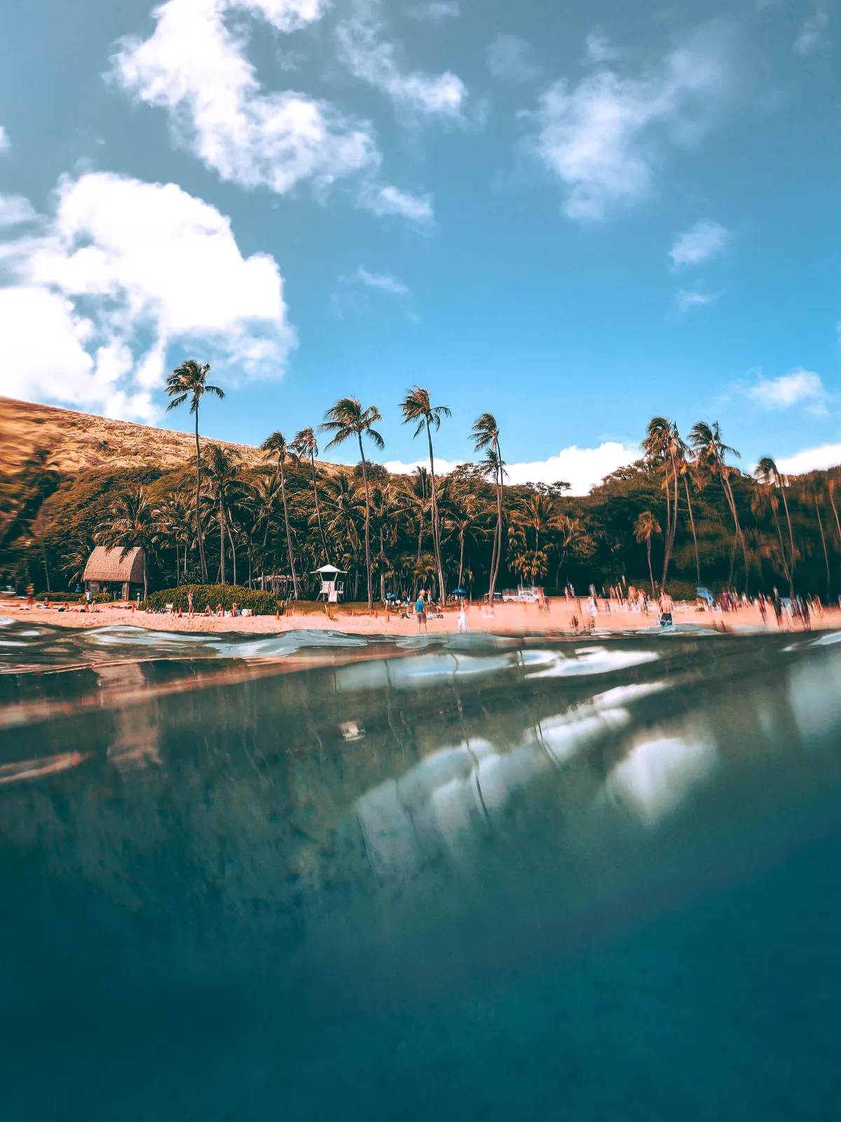 Tall palms along a Hawaiian beach below a forested ridge, seen low from the turquoise shallows